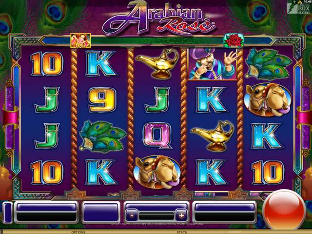 Arabian Rose Microgaming spilleautomater screenshot