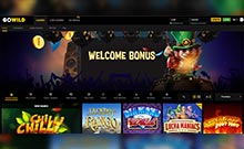 GoWild kasino gjennomgang skjermbilde på  norskcasino1.com 1