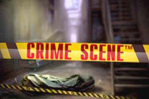 Crime Scene spilleautomater NetEnt  norskcasino1.com