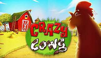 Crazy Cows spilleautomater PlaynGo  norskcasino1.com