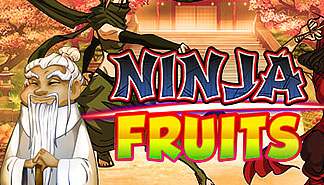 Ninja Fruits spilleautomater PlaynGo  norskcasino1.com