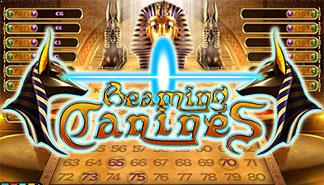 Beaming Canines spilleautomater Yggdrasil  norskcasino1.com