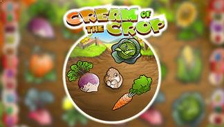 Cream of the Crop spilleautomater Rival  norskcasino1.com