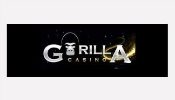 Kasino Oversikt Gorilla Casino - Himmelspill Thumbnail