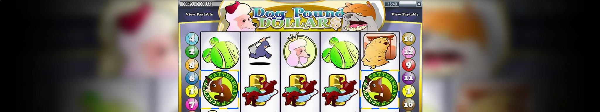 Dog Pound Dollars